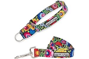 Lucky Love Dog Martingale Collar and Leash Set, Premium No Slip Collar and Leash Set, Floral Vivid Pattern Martingale Collar, Great for Whippets, Greyhounds, and More (Blackbird, Large - Combo)