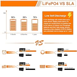 VESTWOODS 12V 8Ah LiFePO4 Lithium Iron Phosphate