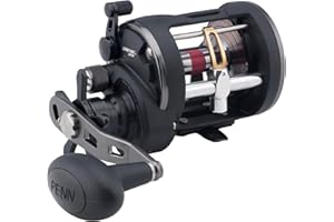 PENN Warfare II Level Wind Conventional Fishing Reel
