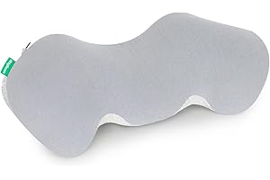 IBIGBEAN Portable Lumbar Support Pillow for Couch, Bed, Car and Office Chair - Ergonomic Lower Back Pillow for Sleeping Waist Back Pain Relief - with Comfortable Cotton Pillowcase and Portable Handbag