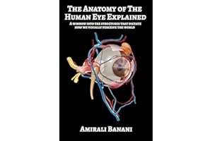 The Anatomy of The Human Eye Explained: A window into the structures that dictate how we visually perceive the world