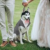 Kuoser Dog Tuxedo and Bandana Set Puppy Formal Wear Small to XXL view 5