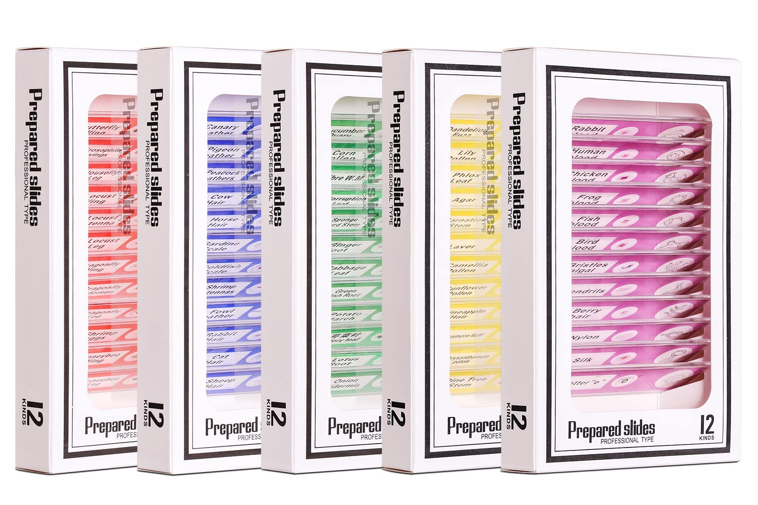 Bysameyee 60PCS Prepared Plastic Microscope Slides with Specimens for Kids, 2022 New Update Full Range of Animal/Plant/Insect/Blood Biology Slides Gift Set for Kids Microscope