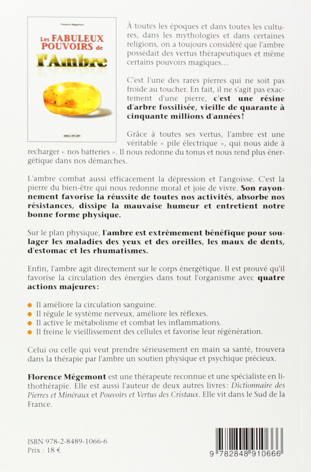 Les Fabuleux Pouvoirs De L Ambre Megemont Florence Amazon Com Books