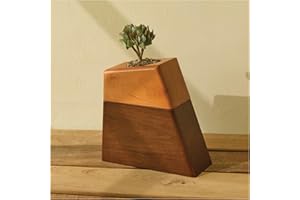 AspenStudio Plant Urn for Adult Human Ashes Cremation Wooden Urn by Aspen Studio