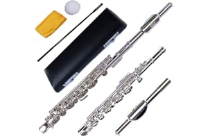 Funion Piccolo Outfit C Key Cupronickel Body Head and Keys With Case Rod and Cleaning Cloth