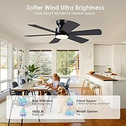 46 inch Ceiling Fans with Lights, Black Ceiling Fan