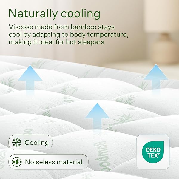 NIAGARA SLEEP SOLUTION ULTRA SOFT TWIN SIZE MATTRESS TOPPER – RAYON DERIVED FROM BAMBOO PILLOW TOP MATTRESS PAD FOR BACK PAIN RELIEF – NATURALLY COOLING FOR HOT SLEEPERS, GREEN