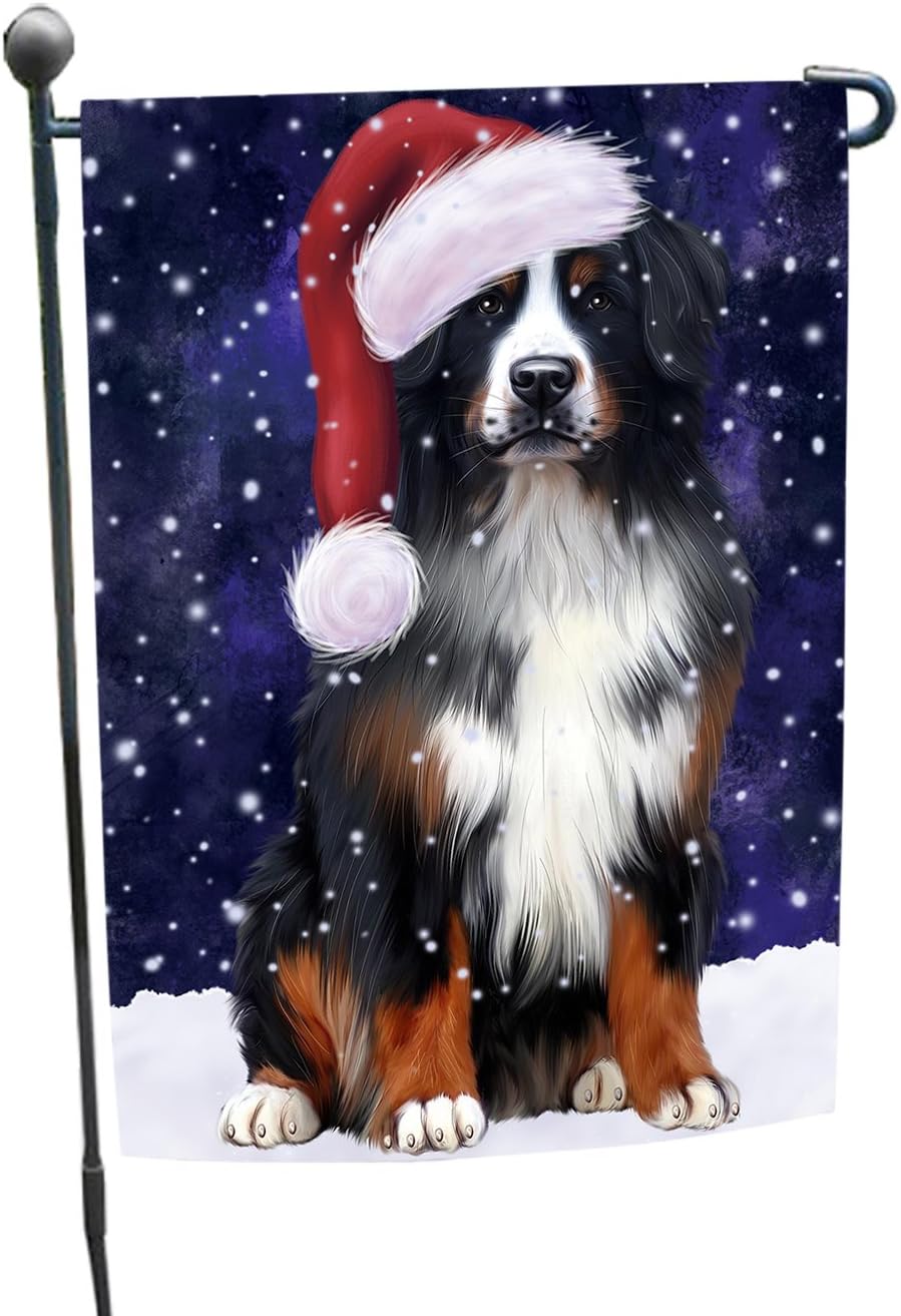 bernese mountain dog hat
