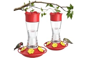 Kingsyard 2-Pack Glass Hummingbird Feeder for Outdoors Hanging, 10 oz Leak-Proof Humming Bird Feeders with Ant Moat & Bee Pro