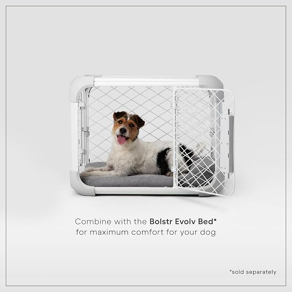 DIGGS EVOLV DOG CRATE – SLIM, DURABLE DOG KENNEL WITH REMOVABLE CEILING PANEL AND MODULAR DESIGN – SAFE, STYLISH, AND CONVENIENT (ASH, SMALL)