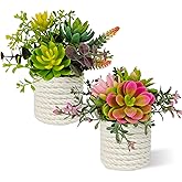 FOUSUKA Set of 2 Fake Succulents Plants Artificial Small Succulent Plants Potted for Home Decor Indoor Table Living Room Bedroom Bathroom Shelf Women Office Desk Accessories Decoration (Green)