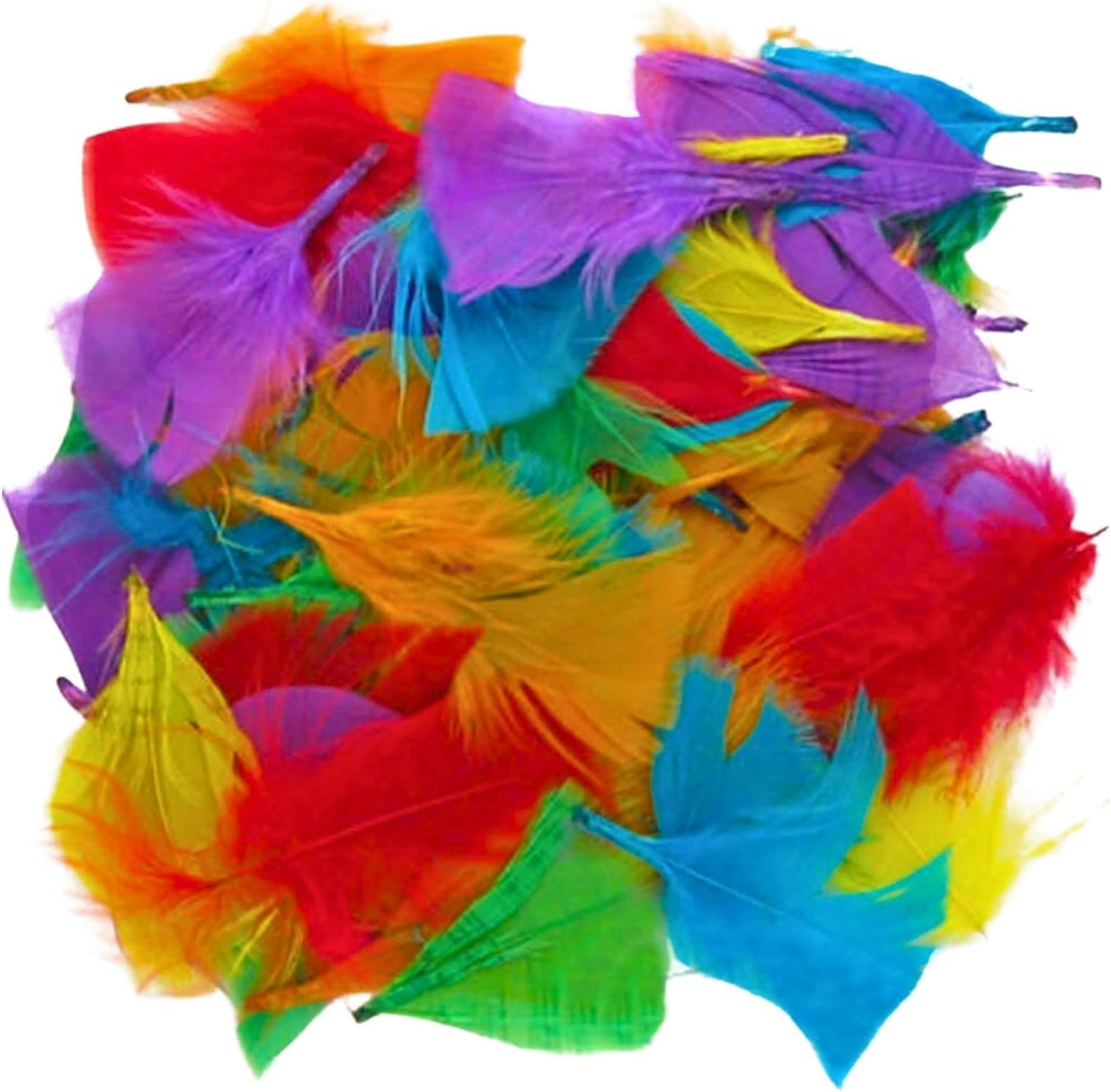 a2bsales 250+ Assorted Coloured Feathers Art Craft Collage Hats Costume Millinery