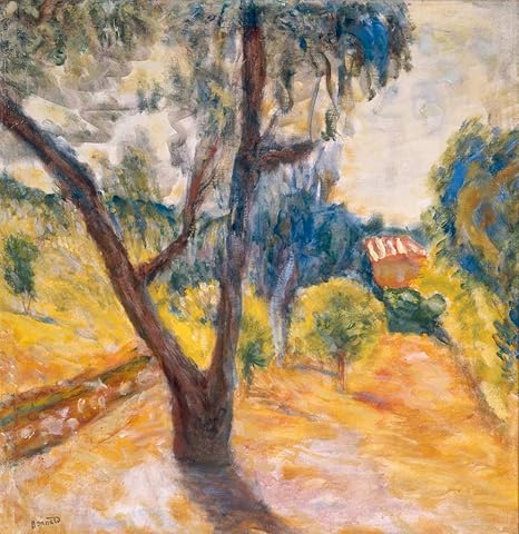 Amazon.com: Kunst für alle Art - Póster de Pierre Bonnard ...