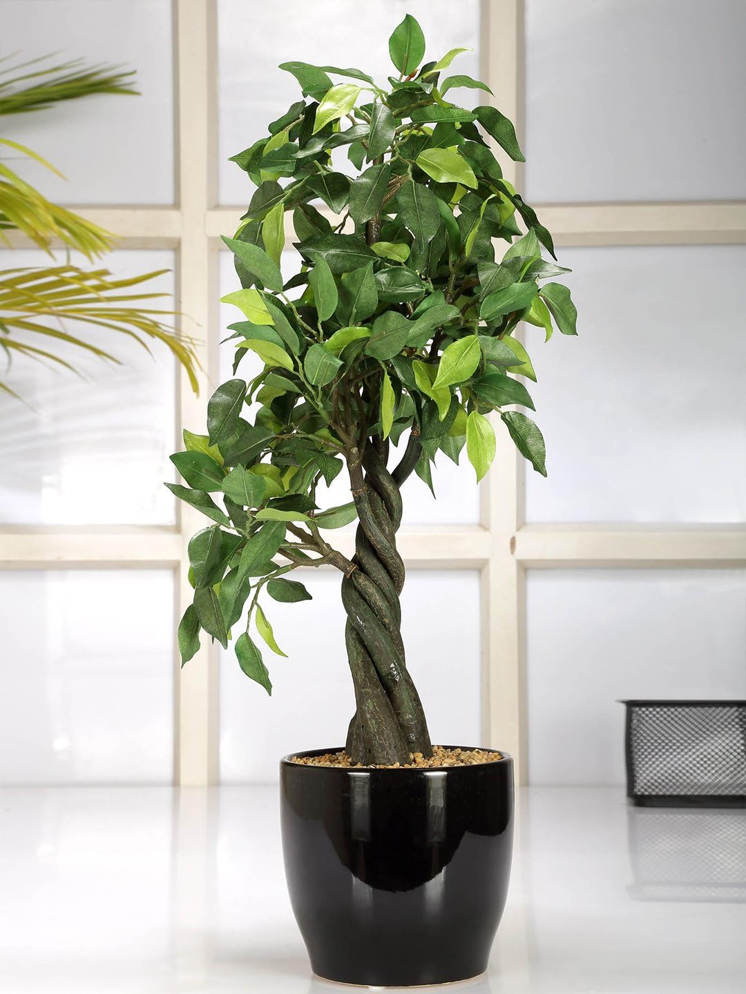 Fourwalls Artificial Ficus Plant (Green, 1 Piece)