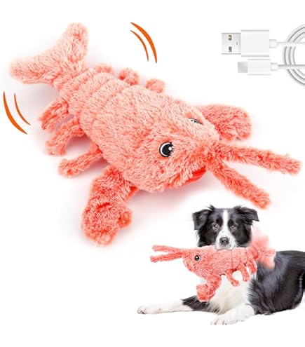 Pet Supplies : VAIZIQ Realistic Flopping Fish Dog Chew Toy - Electric  Moving Interactive Pet Toy for Small Medium Dogs, Chew Rocking Toy for  Indoor Outdoor Exercise : Amazon.com