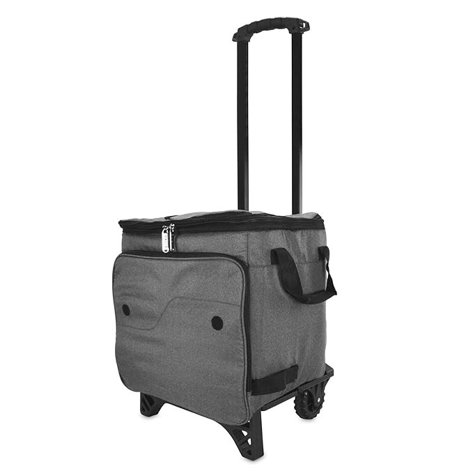 Dalix Rolling Cooler térmico aislado carrito bolsa deporte a ...