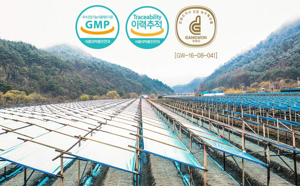 Gangwoninsam] Korean Red Ginseng Extract Gold 500g / 17.63 fl. oz – Contains 100% Pure Korean 6-Year-Old Red Ginseng Root Extract