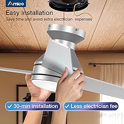 Amico Ceiling Fans with Lights, 52 inch Low Profile