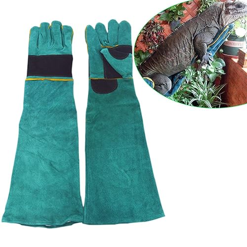 Best Animal Handling Gloves 10Reviewz