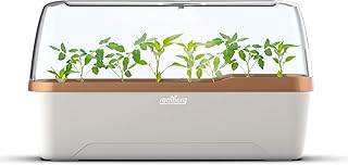 Romberg Style BoQube Gewächshaus & Pflanzkasten-System 41x17x23cm Creme/kupfergold