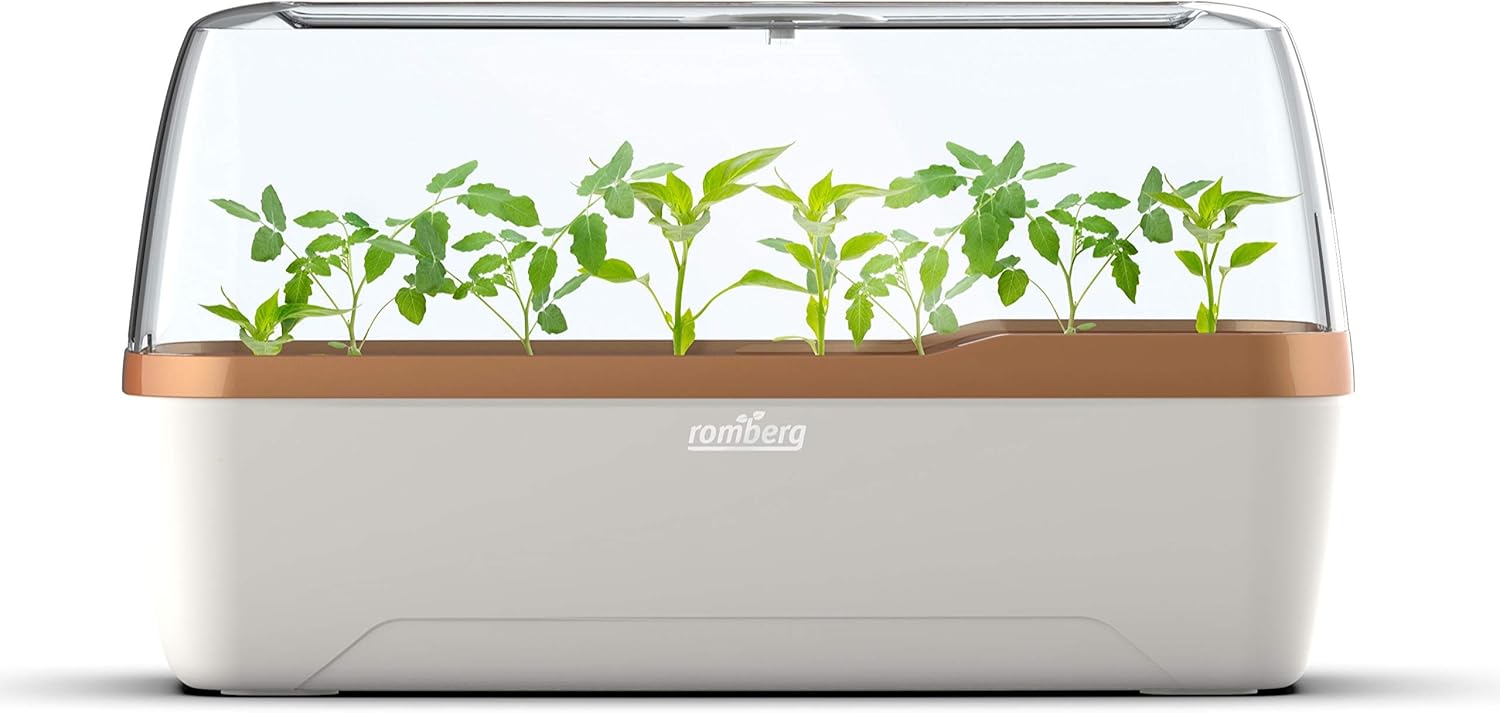 Romberg Style BoQube Gewächshaus & Pflanzkasten-System 41x17x23cm Creme/kupfergold