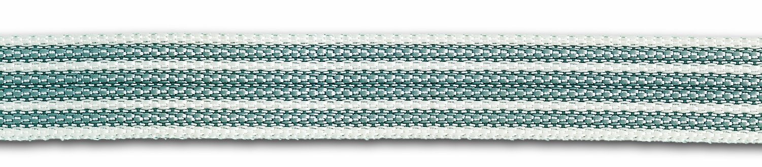 Chapuis SPP1 Strap for Roller Shutter Polypropylene 214 kg Width 15 mm Length 5.5 m