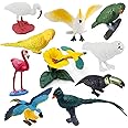 SIENON 10Pack Mini Birds Figures, Realistic Plastic Bird Figurines, Miniature Rainforest Animal Model Flamingo, White Ibis, P