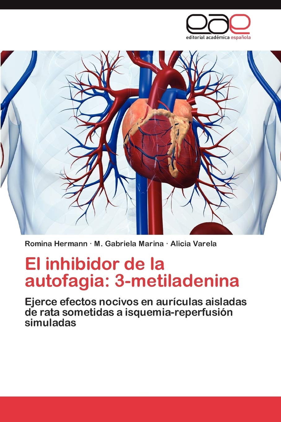 El inhibidor de la autofagia: 3-metiladenina: Ejerce efectos nocivos en  aurículas aisladas de rata sometidas a isquemia-reperfusión simuladas  (Spanish Edition): Hermann, Romina, Marina, M. Gabriela, Varela, Alicia:  9783659039201: Amazon.com: Books