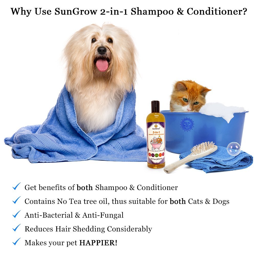 SunGrow Vet Trusted 2-in-1 100% Organic, Medicinal Pet Shampoo Plus Conditioner for Cats/Dogs, Deodorizes, Moisturizes and Improves Coat/Fur Enriched with Aloe Vera/Coconut