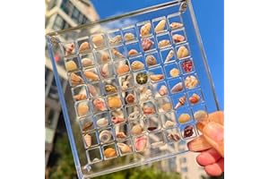 NENRTE Acrylic Magnetic Seashell Display Box, Advantageouse Acrylic Magnetic Seashell Display Box, Seashell Storage Box, Clear Acrylic Diamond Gemstone Beads Storage Display Organizer Box (64 grids)