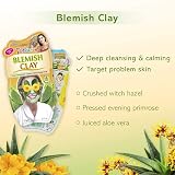 Montagne Jeunesse Blemish Mud Face Masque 20g - Aloe Vera, Willow, Rosemary, view 3