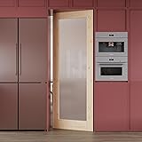 WINSTELLAR Frosted Glass Prehung Interior