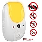 Chuggington Wooden Railway Frostini