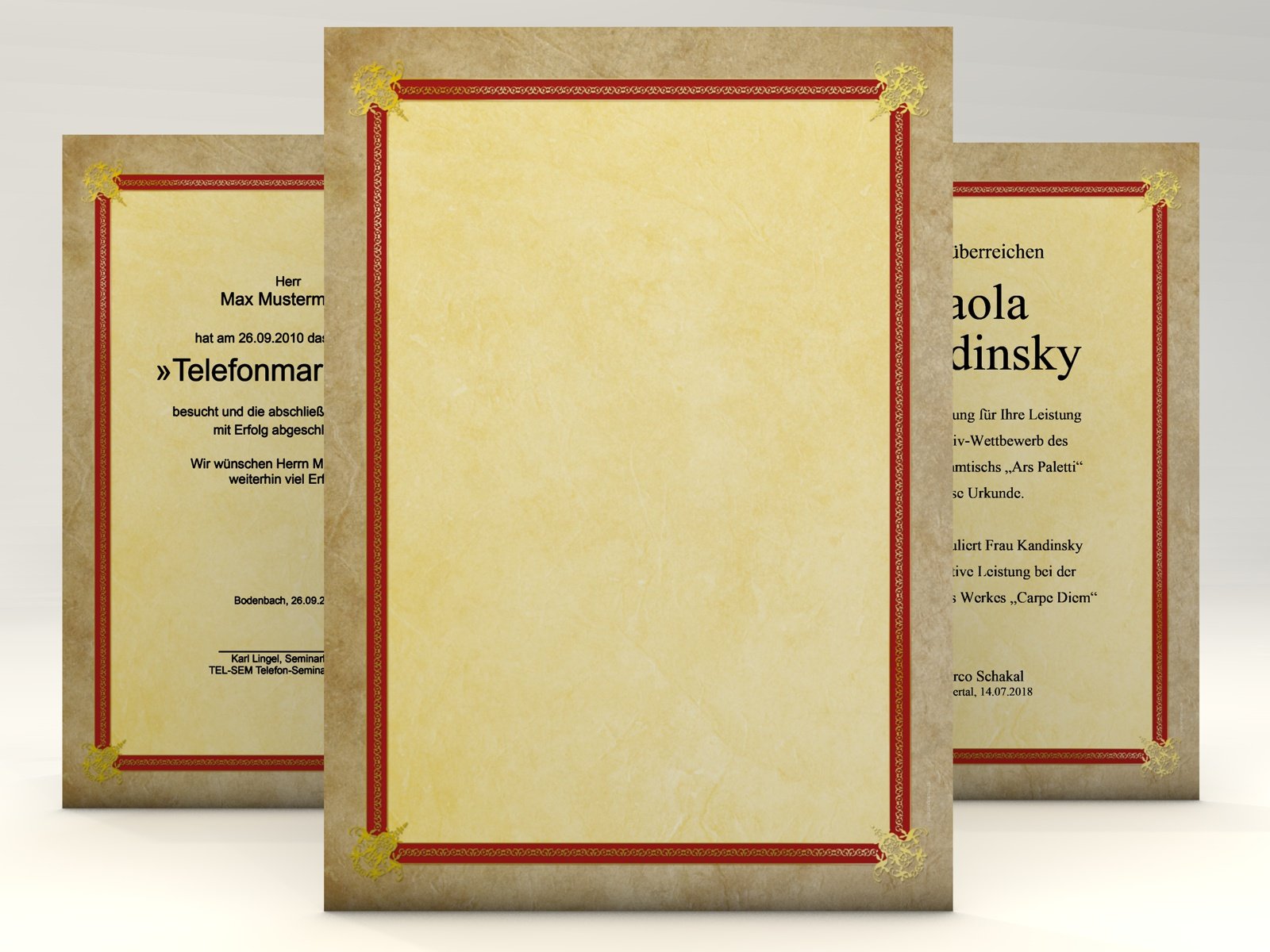 Certificate Paper Success, 50 sheets of A4, 190 g/m². Professional certificates in no time. Thick paper, still easily printable. For Laser and Inkjet printers, copiers or to be written by hand. For certificate, awards, certificates. Includes: Free templates.