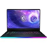 MSI Raider GE76 17.3" QHD 240Hz Gaming