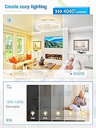 JOFIOS Ceiling Fans with Lights,19.7" Flush Mount
