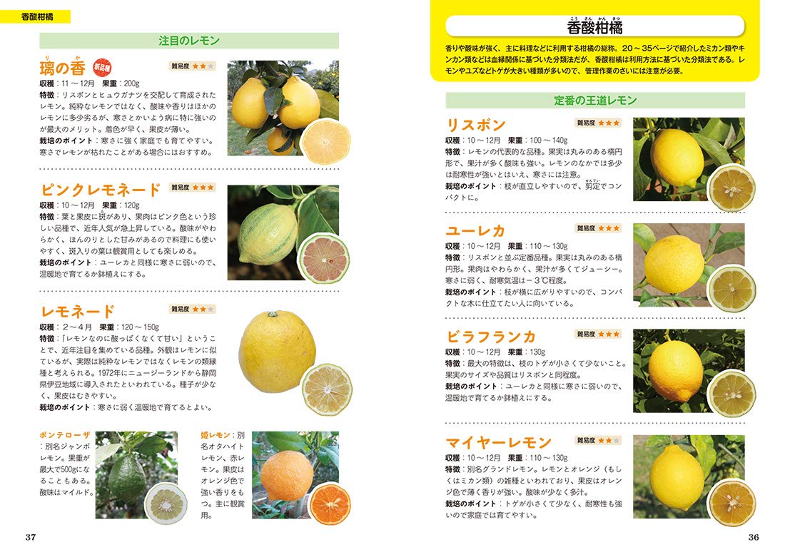 新版 家庭でできるおいしい柑橘づくり12か月 三輪 正幸 本 通販 Amazon