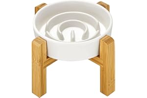 MOPANG Ceramic Slow Feeder Dog Bowls Elevated, 0.6 Cup Slow Feeder for Small Dogs and Cats, Puzzle Maze Bowl, Prevents Choking, 6in, White