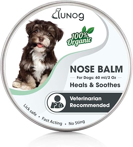 feelwells probiotic dog treats