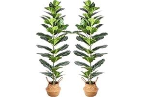 Ferrgoal Artificial Fiddle Leaf Fig 57 Inch Fake Ficus Lyrata Tree with 49 Leaves in Pot and Woven Seagrass Belly Basket Perfect Faux Plant for Home Indoor Outdoor Office Modern Decor Green 2Pc