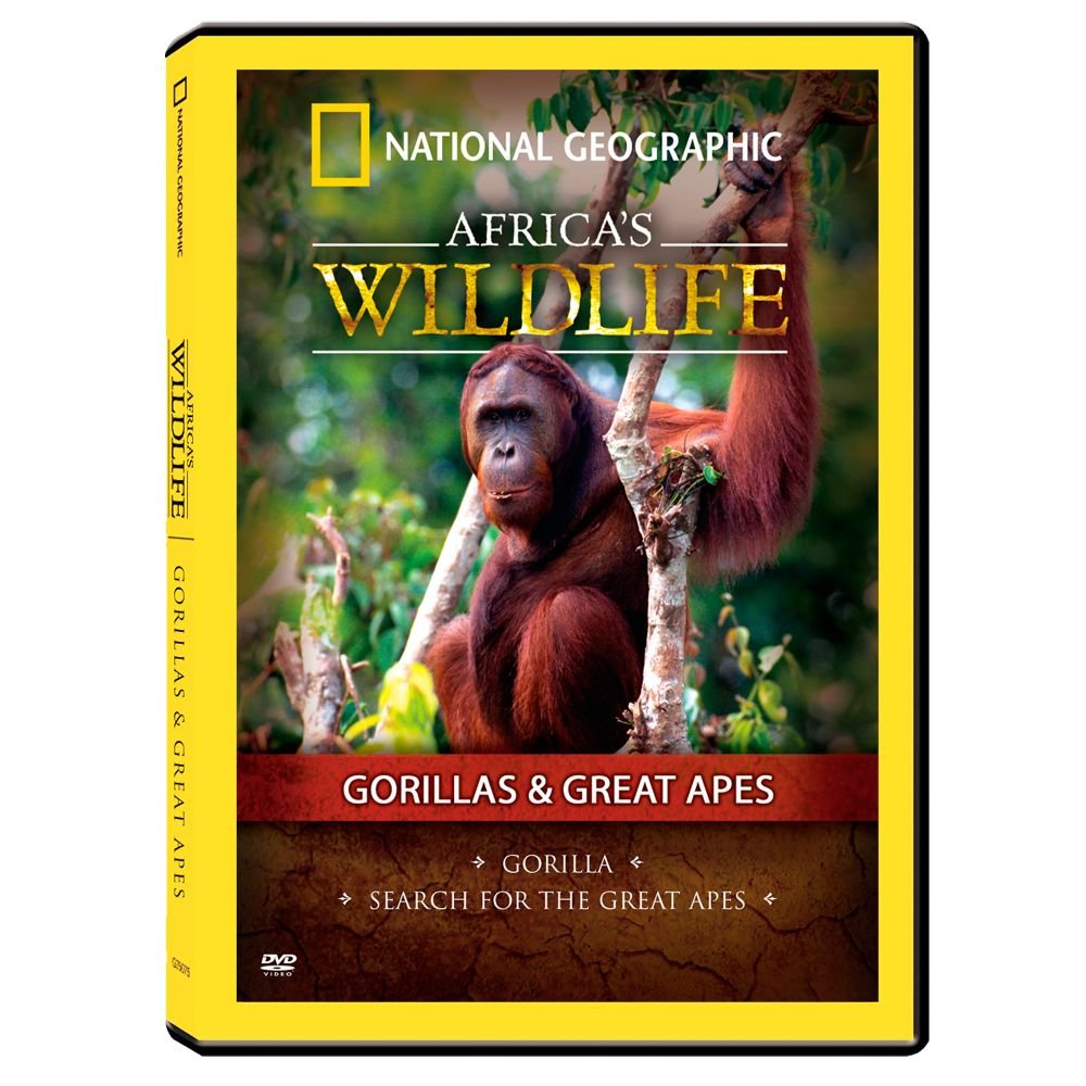 National Geographic Africa's Wildlife Collection Gorillas