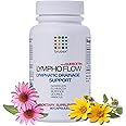 Bruizex Lympho Flow Lymphatic Drainage Supplement, Supports Lymphatic System Health, Liposuction, BBL, 360 Lipo, Tummy Tuck & Lymphedema Post Surgery Recovery, Made with Qercetin, 60 Capsules
