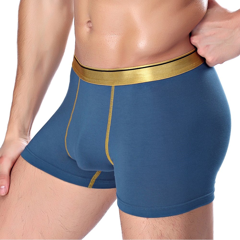 BRIGHT GG Boxer Briefs Mens Underwear Men Pack Soft Modal Healthy Breathable Underwear (L, 2)