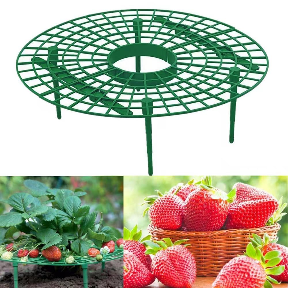 10 Pack Strawberry Growing Stand Strawberry Fruit Protection Support Stand Strawberry Plant Growing Stand