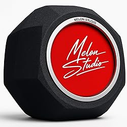 Pop Filter for Microphone, Portable Vocal