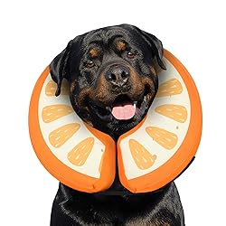 MIDOG Inflatable Dog Cone Collar Alternative After