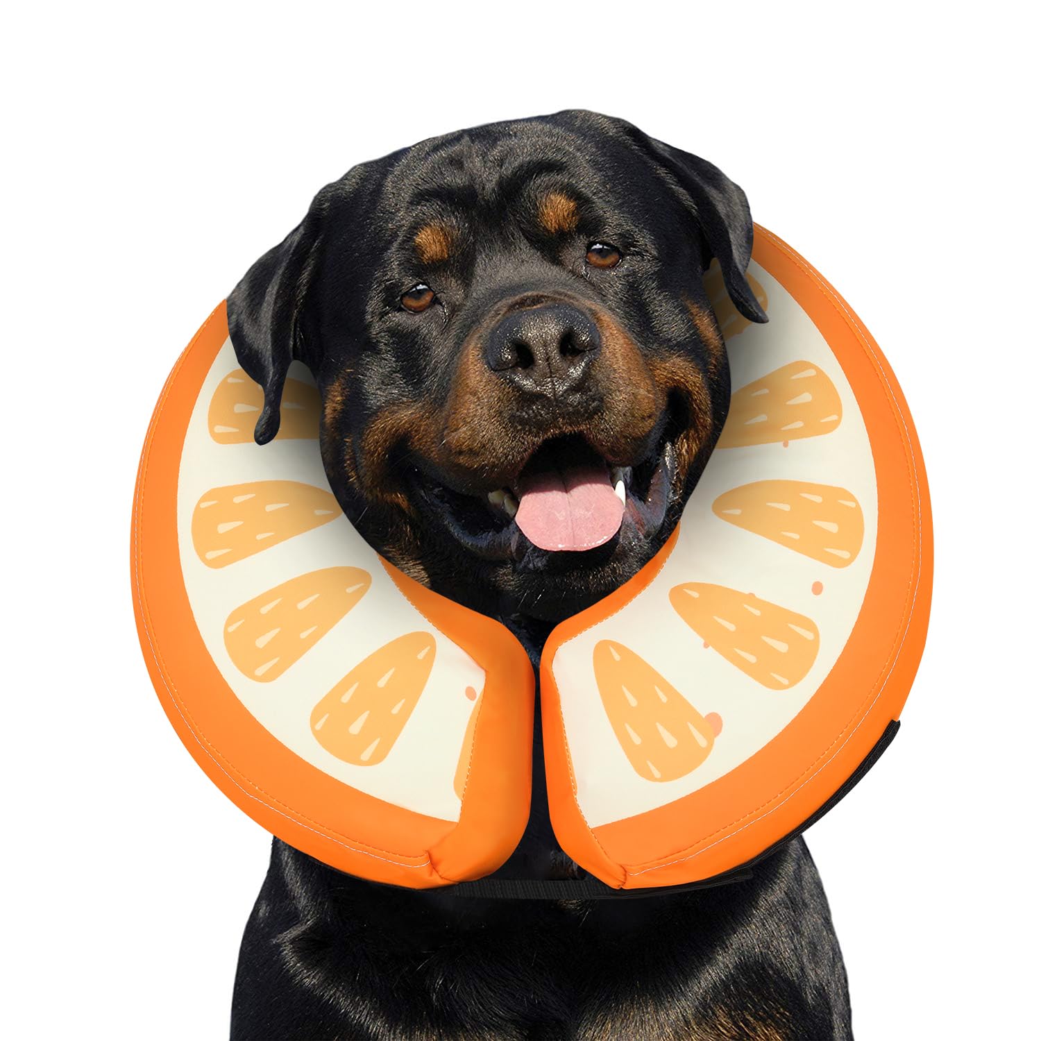 MIDOG Inflatable Dog Cone Collar Alternative After