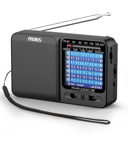 PRUNUS J-555 Pocket Radio AM FM USB-C Charging& Battery Operated
