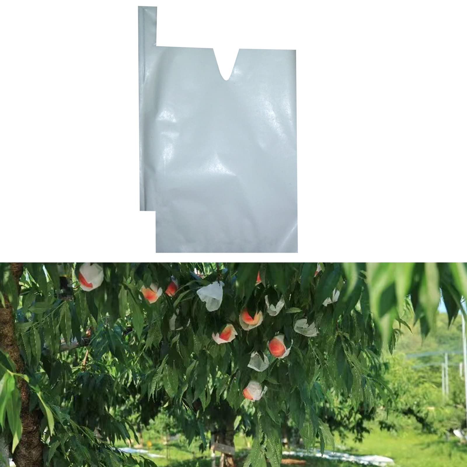 Photo 1 of HouWanA Fruit Protection Paper Bags - 100pcs White Protection Covers 6.2x7.7inch, Orchard, Frost, Plants (16x20)